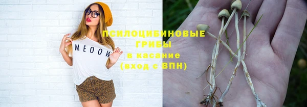 дживик Баксан